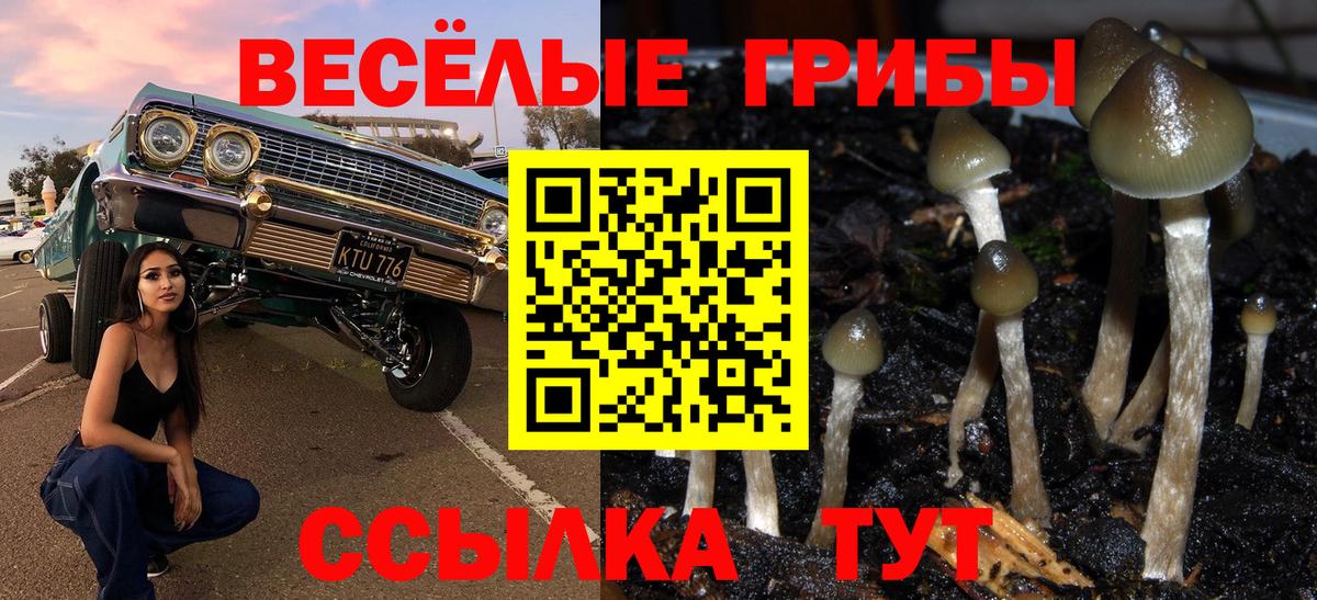 Псилоцибиновые грибы ЛСД  Псилоцибиновые грибы Cubensis  Вход с VPN  Унеча 
